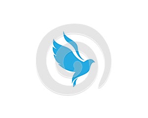 Dove Bird Logo Template