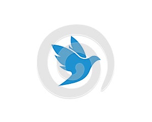 Dove bird Logo Template