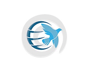 Dove bird Logo Template