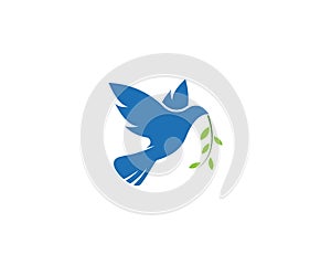 Dove bird Logo Template