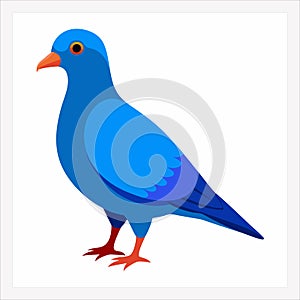 A dove bird vector art illustration photo