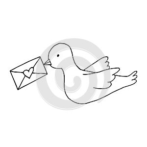 dove with envelope with heart hand drawn doodle. vector, scandinavian, nordic, minimalism. icon, sticker. letter, love