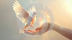 A dove with fiery wings ascending from an open hand, representing hope.