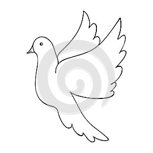 Dove in flight. Bird flaps its wings. The dove is a symbol of peace. Snow-white bird. Vector illustration. Outline on an isolated 