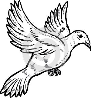 Dove in flight illustration