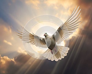 A Dove Flying High Above the Ground, With the Sun Shining Brightly Behind It