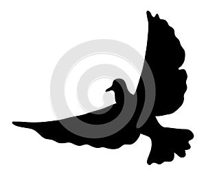 Dove flying migratory pigeons, cartoon vector, Bird dove black silhouette