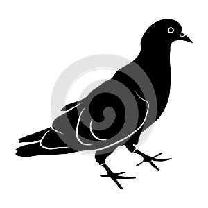 Dove glyph icon. Bird on the ground. Pigeon in black color. Peace concept. Pacifism concept. Vector simple icon for presentation,