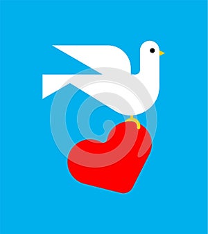 Dove and heart symbol of love sign