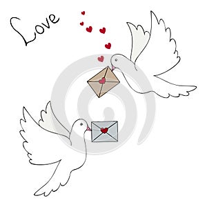 Dove. Heavenly couriers. Two white doves carry love letters to the addressees. Color vector illustration. Isolated background. 