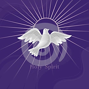 Dove Holy Spirit with halo vector illustration
