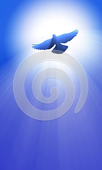 Dove holy spirit peaceful sky light flare