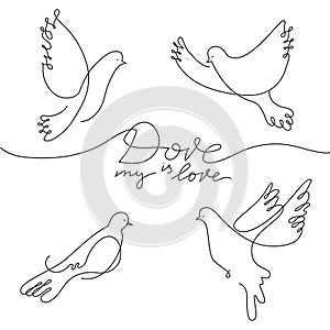 Dove in line art style