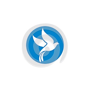 Dove logo template vector icon illustration