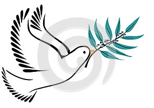 Dove with olive branch