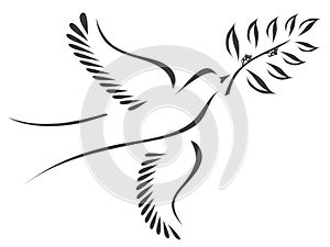 Dove with olive branch