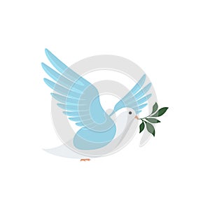 Dove with olive branch.Symbol of peace. Bird, dove holds a branch of a plant on a white background.