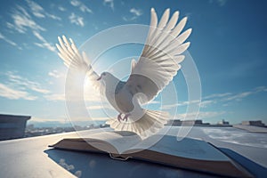 Dove and open bible on blue sky view. Generate ai