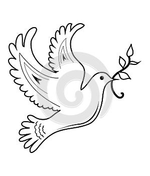 Dove Of Peace