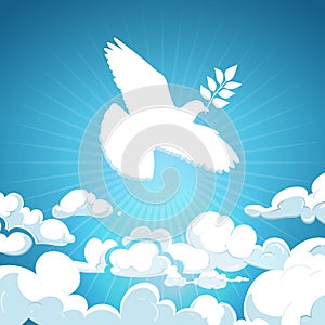 Dove of peace flying in the sky. White pigeon with branch background concept