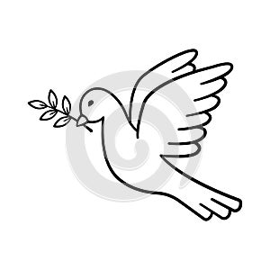 Dove of peace. Hand drawn pigeon flying with olive branch. Bird is symbol of peace and freedom in simple doodle line style.