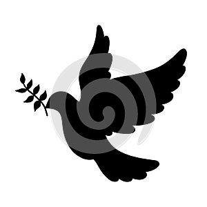 Dove of peace with olive brunch silhouette. Vector illustration isolated on white. Peace Day symbol