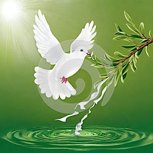 Dove of peace , peace bird, illustration of beautiful shiny dove