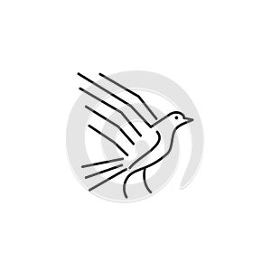 Dove Pigeon standing Line Icon Template Isolated