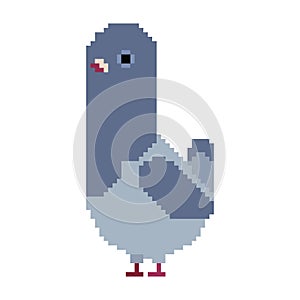 Dove pixel art isolated. pigeon 8 bit