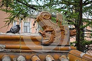 Dove on the roof of the Chinese-style pergola