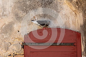 Dove seat on a doorframe in a marine castle