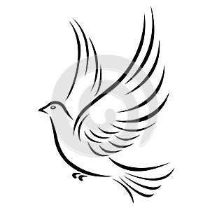 The dove silhouette is drawn in various lines of black color. Pigeon bird logo, peace symbol, tattoo