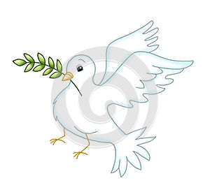 Dove simbol of peace