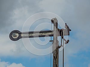 Dove sitting on an old railroad signal