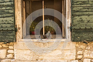 St-Remy-de-Provence birthplace of Nostradamus photo