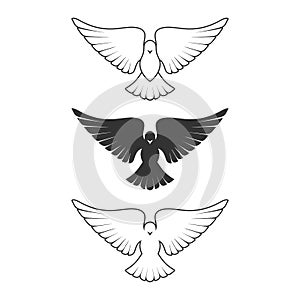 Dove, a symbol of peace and purity. The biblical symbol of the Holy Spirit.