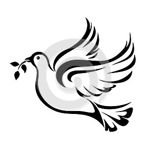 Dove. Symbol of peace. Vector black silhouette.