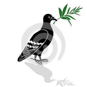 Dove ( turtle dove) with olive branch isolated on a white background vector tattoo peace