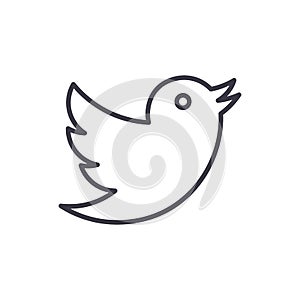 Dove,twitter vector line icon, sign, illustration on background, editable strokes photo