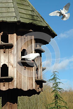 Dovecote