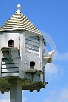 Dovecote with dove