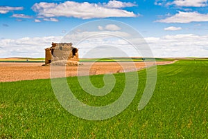 Dovecote, field and sky