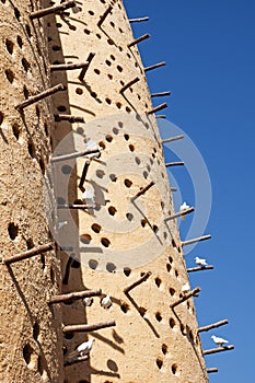 Dovecote In Qatar