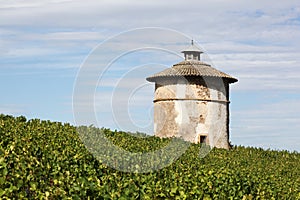 Dovecote in the vineyard of Beaujolais in Quincie en Beaujolais