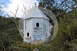 Doves and a dovecote at the lost Gardens of Heligan