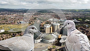 Doves eye view of Waterfront Hall and Hilton Hotel Belfast Northern Ireland