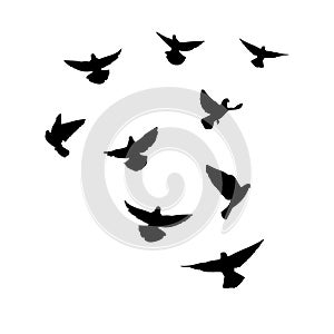 Doves are flying. Silhouette of pigeons that fly on a white background. Vector illustration photo