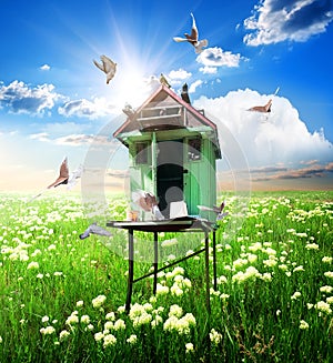 Doves over dovecote