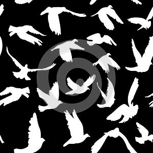 Doves and pigeons seamless pattern black and white