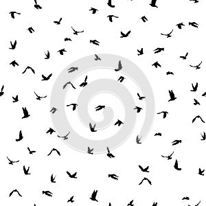 Doves and pigeons silhouette seamless pattern on white background for peace concept and wedding design. Vector